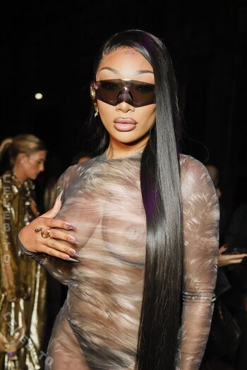 Megan thee stallion 1 page 4 image