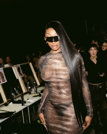 Megan thee stallion 1 page 3 image