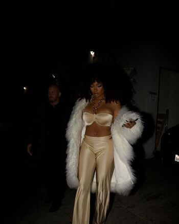 Megan thee stallion 1 page 3 image