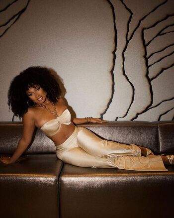 Megan thee stallion 1 page 3 image