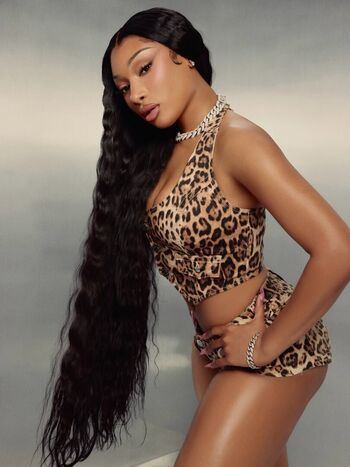 Megan thee stallion 1 page 2 image