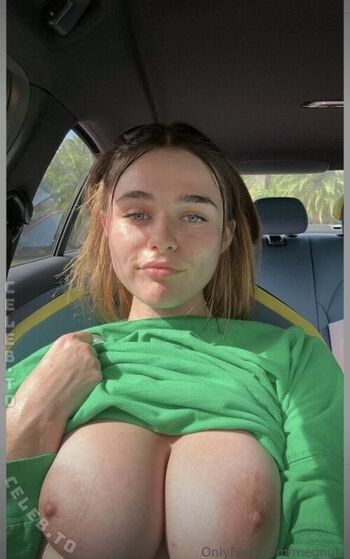 Megnut page 4 image