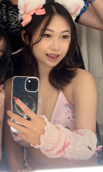 Mei lee image