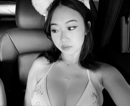 Mei lee image