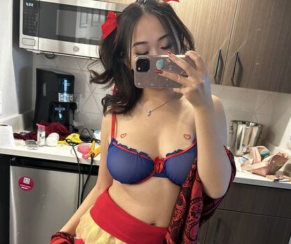 Mei lee image