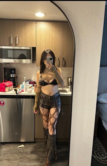 Mei lee image