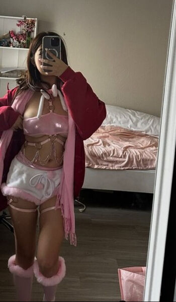 Mei lee image