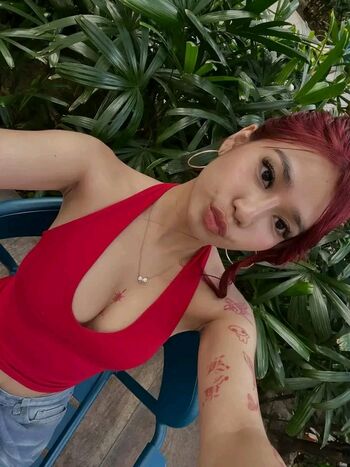 Meia cassandra image