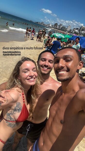 Meiobrasileira image