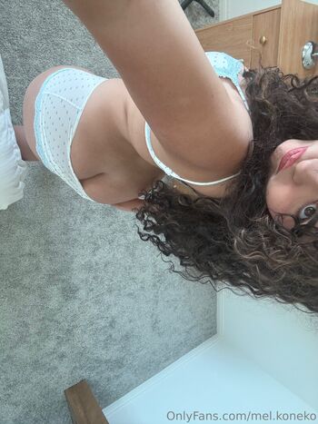 Mel liftz 1 image