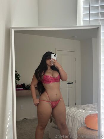 Mel liftz 1 image