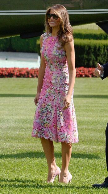 Melania trump image