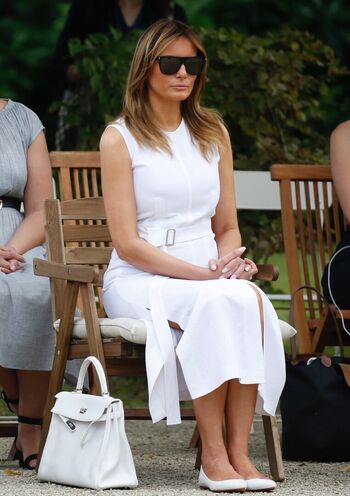 Melania trump image