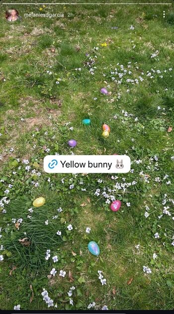 Melaniexdgarcia image