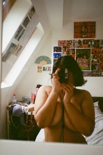 Melizandreii image