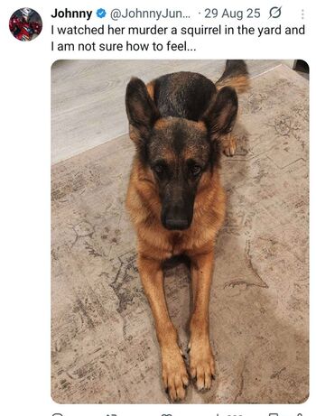 Melonie mac page 2 image