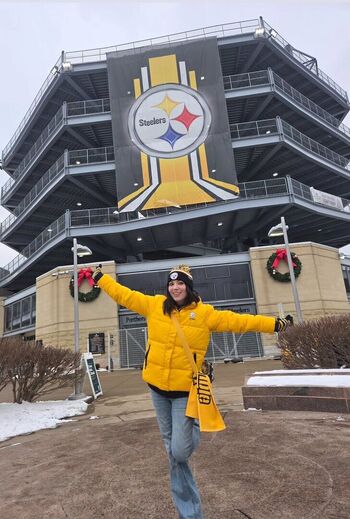 Meloniemac page 2 image