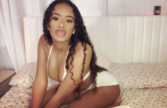 Meowletreloaded image