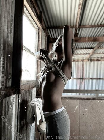 Merindahbrooke image