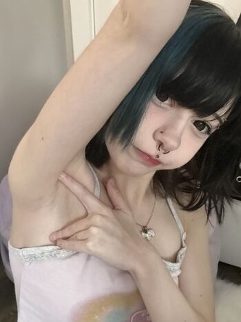 Mewsect image