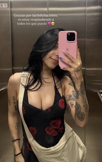 Micheleollieer image