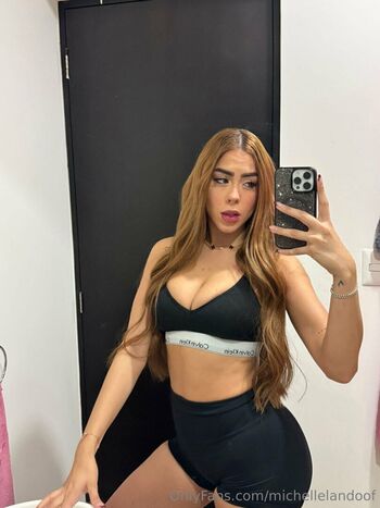 Michelle lando image