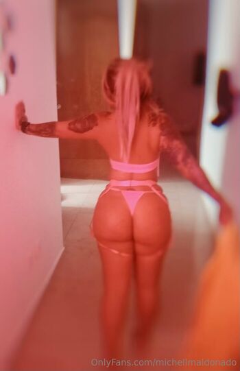 Michelle maldonado image