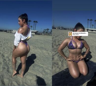 Michellellamascorona image