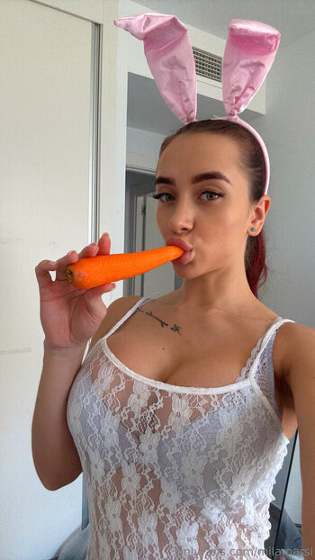 Milamarsi Mikistarmars