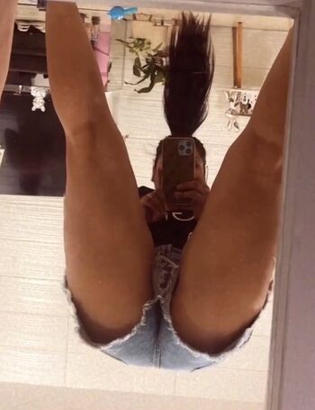 Mimyregia image