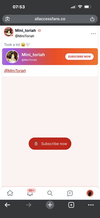 Mini toriah image