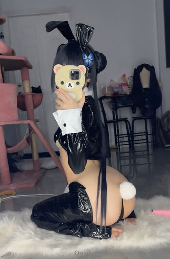 Minishipaws image