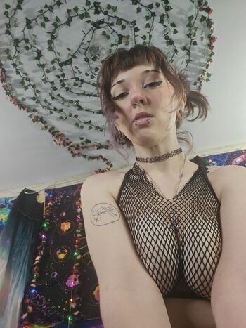 Molliestmay image