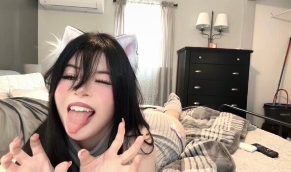 Mollymew2 image