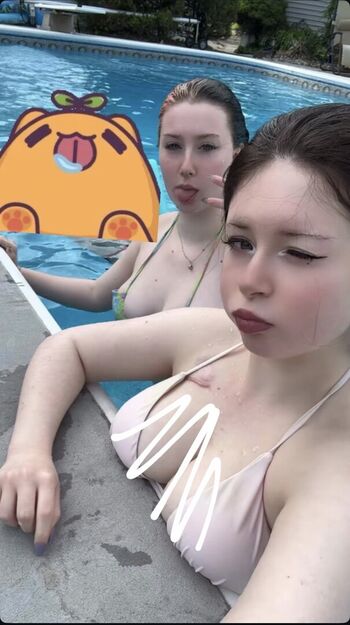 Mollymew2 image