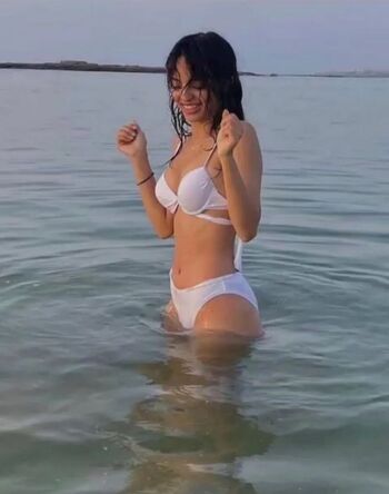 Momortelle immomortelle image