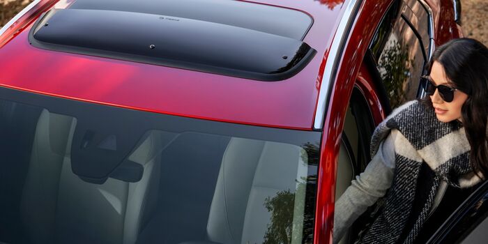 Moonroof image