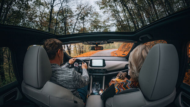 Moonroof image