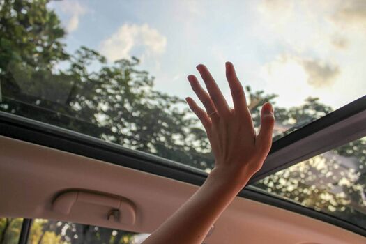 Moonroof image