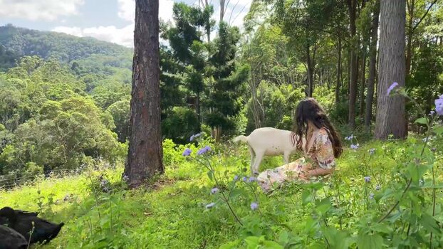 Motherthemountain image