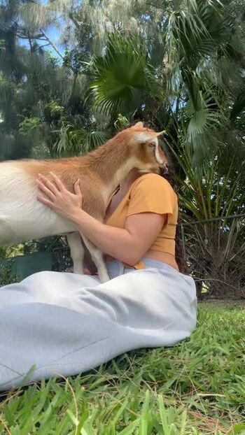 Natalie tortelli image