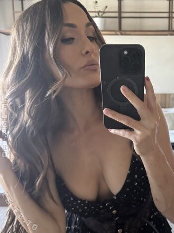 Nikki bella image