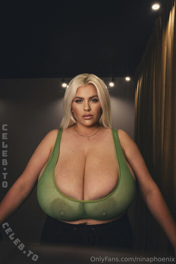 Nina phoenix page 2 image