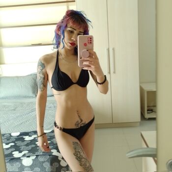 Noeliopnoeliop image