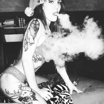 Notyouraveragekat image