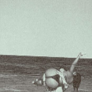 Nu ski image