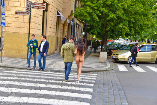 Nude in public page 3 image
