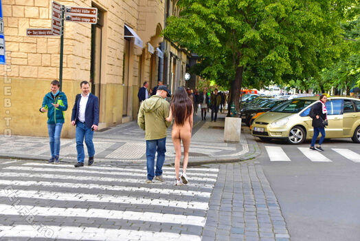 Nude in public page 3 image