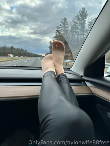 Nylonwife88free image