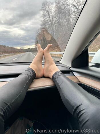 Nylonwife88free image